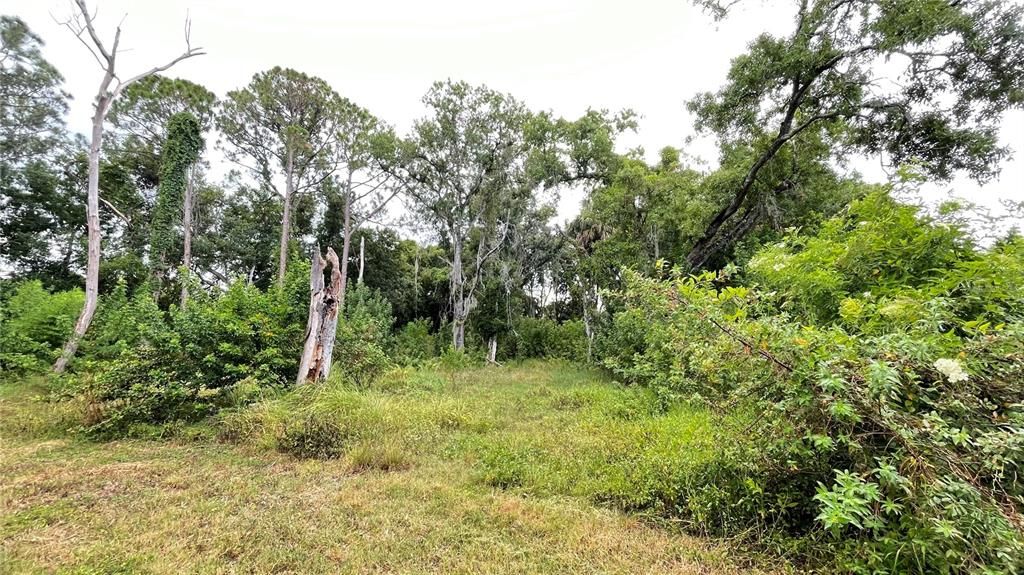 На продажу: $310,000 (0.77 acres)