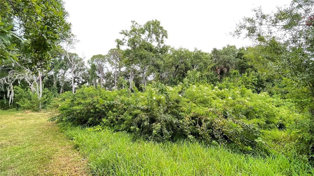 На продажу: $310,000 (0.77 acres)