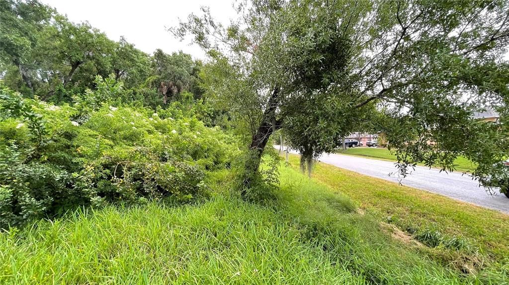 На продажу: $310,000 (0.77 acres)