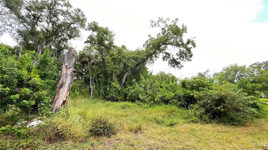 На продажу: $310,000 (0.77 acres)