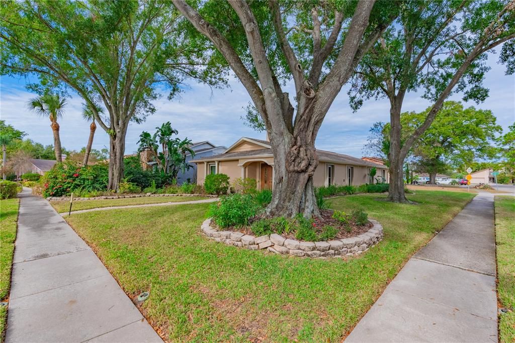 待售: $459,900 (2 贝兹, 2 浴室, 1798 平方英尺)