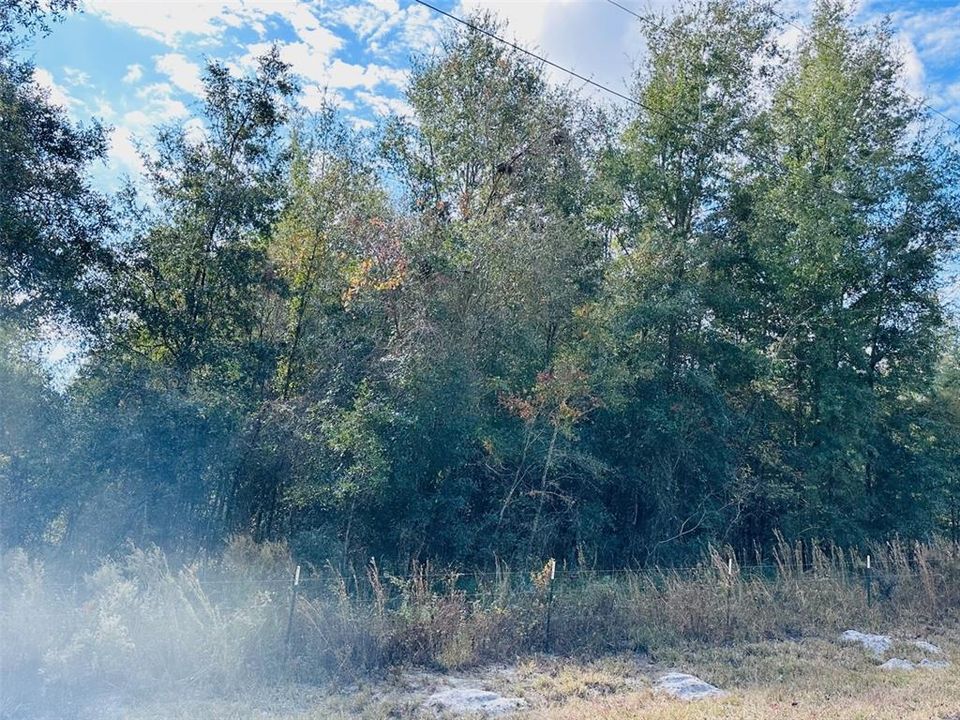 На продажу: $140,000 (9.31 acres)