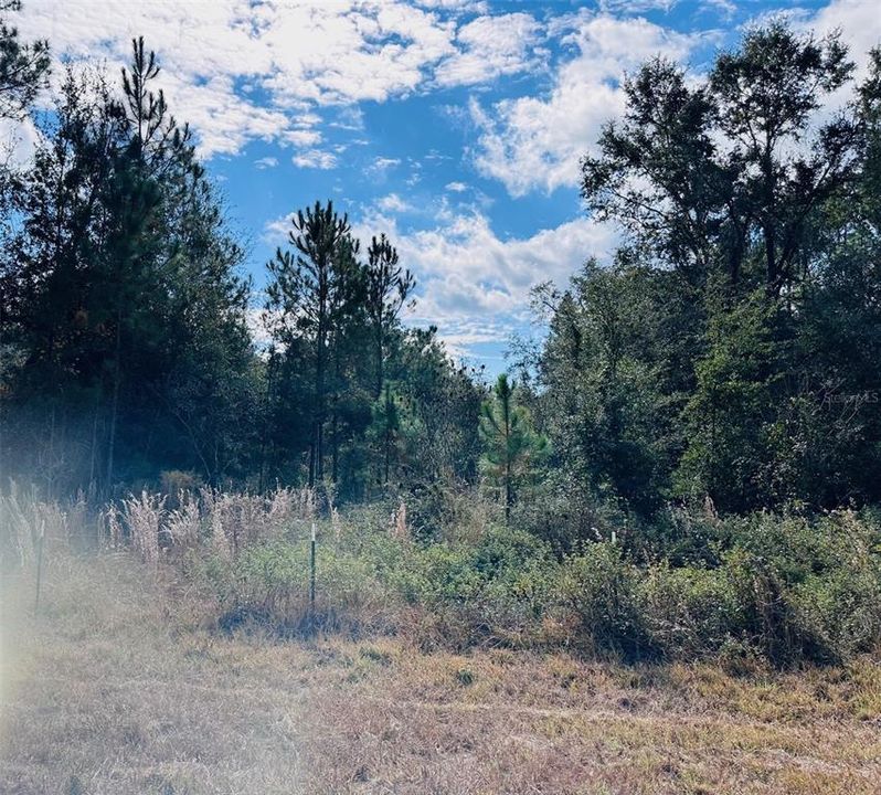 На продажу: $140,000 (9.31 acres)