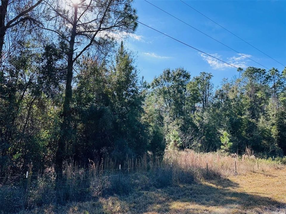 На продажу: $140,000 (9.31 acres)