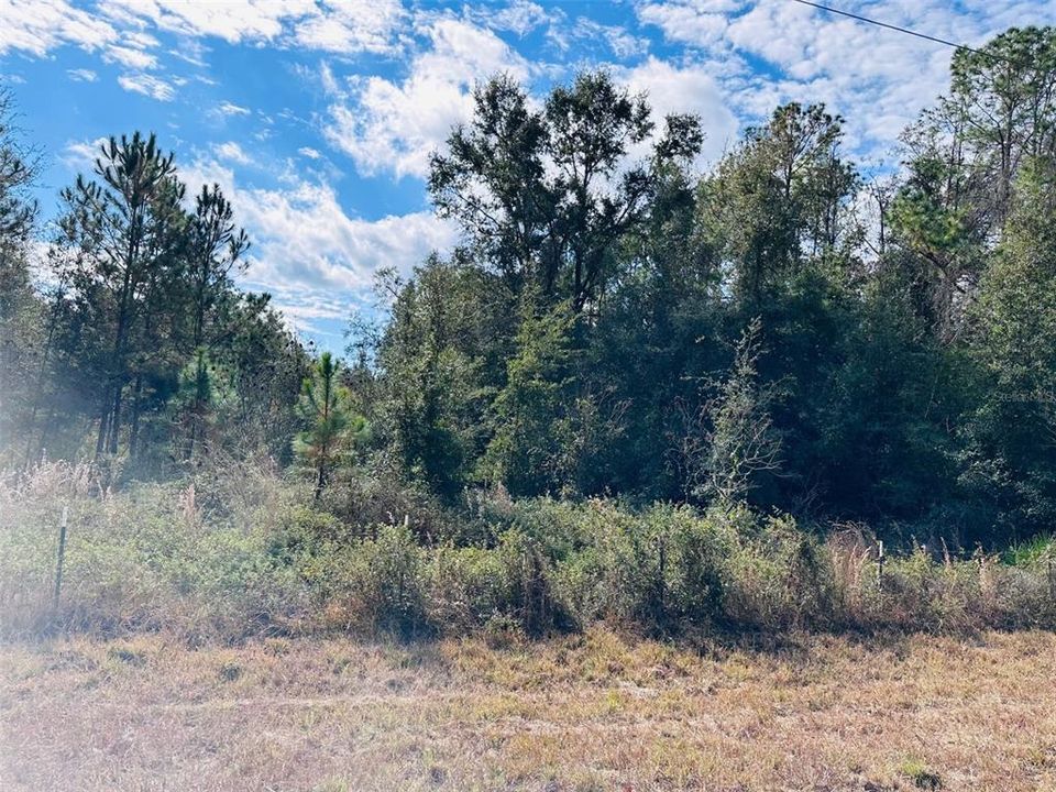 На продажу: $140,000 (9.31 acres)