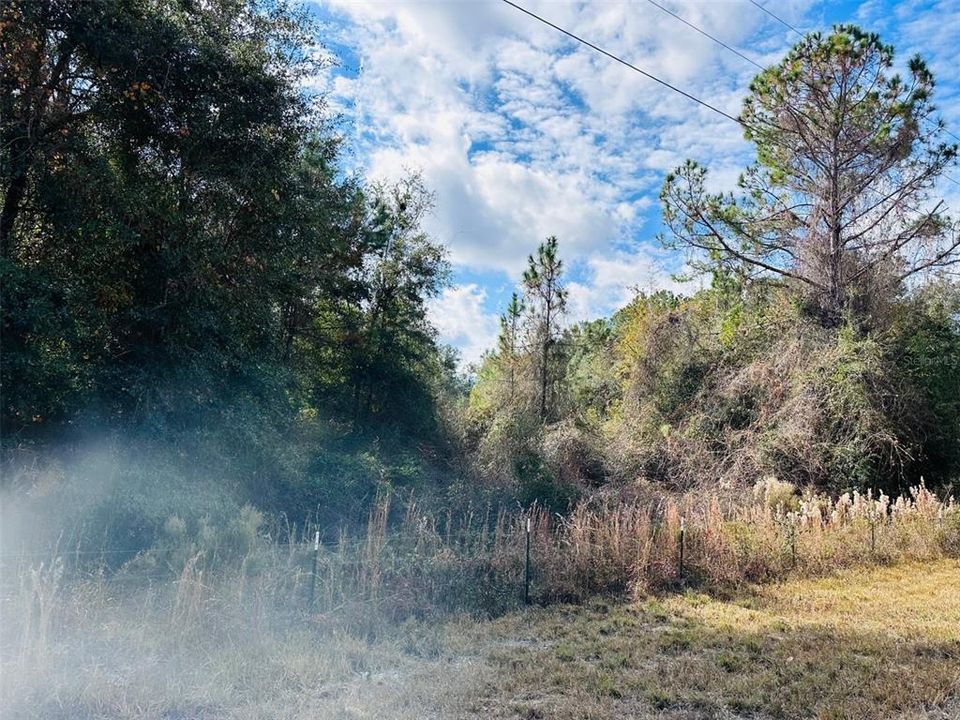 На продажу: $140,000 (9.31 acres)