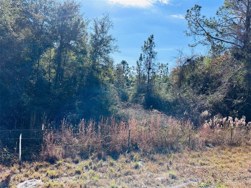 На продажу: $140,000 (9.31 acres)