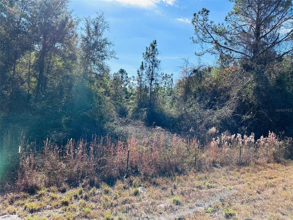 На продажу: $140,000 (9.31 acres)