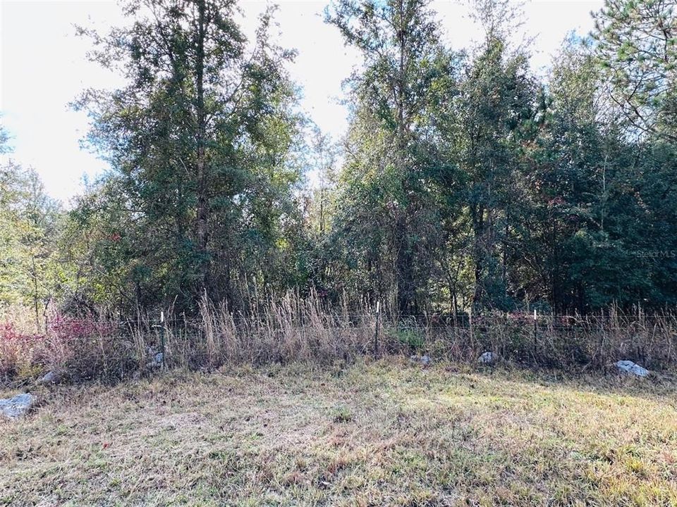 На продажу: $140,000 (9.31 acres)