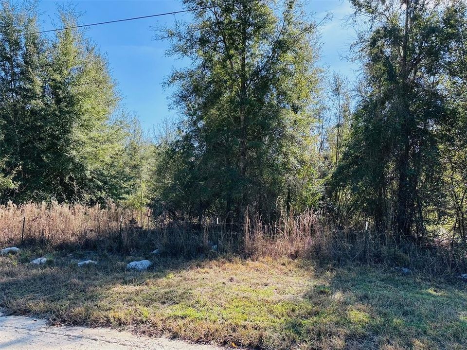 На продажу: $140,000 (9.31 acres)