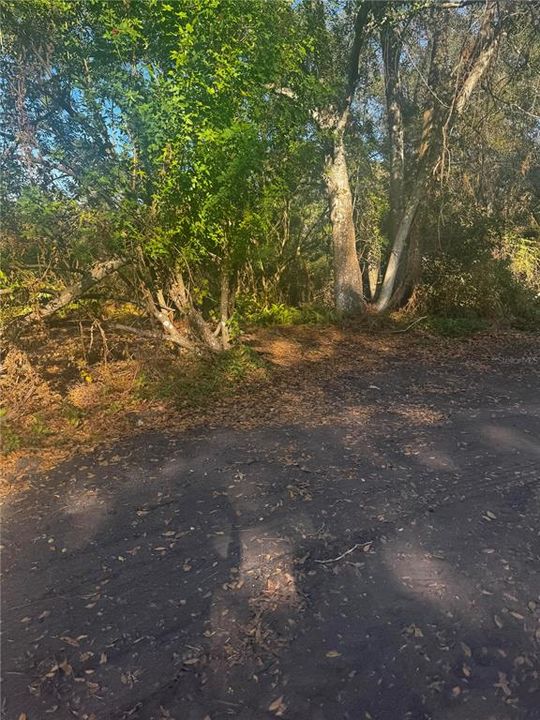 En Venta: $99,000 (0.13 acres)