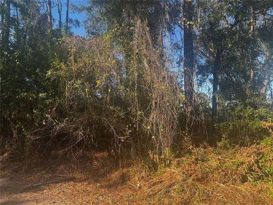 待售: $649,000 (0.87 acres)