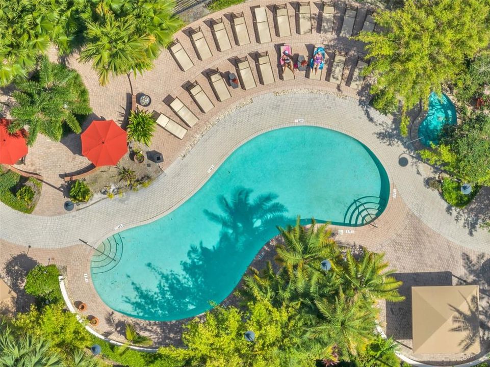 出租: $2,300 (1 贝兹, 1 浴室, 789 平方英尺)