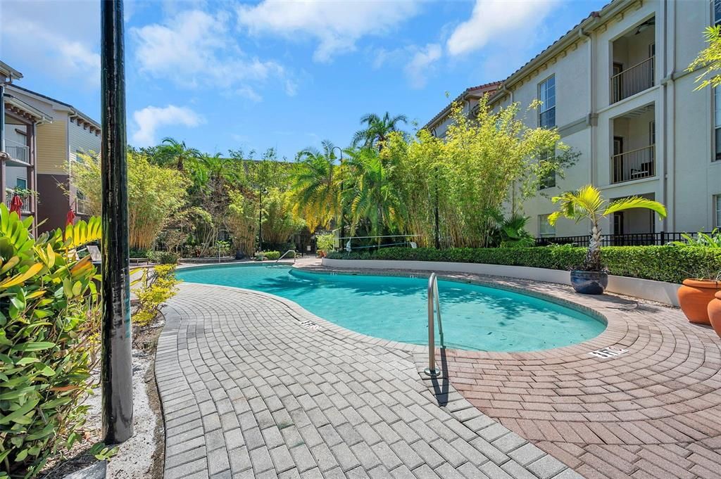 出租: $2,300 (1 贝兹, 1 浴室, 789 平方英尺)