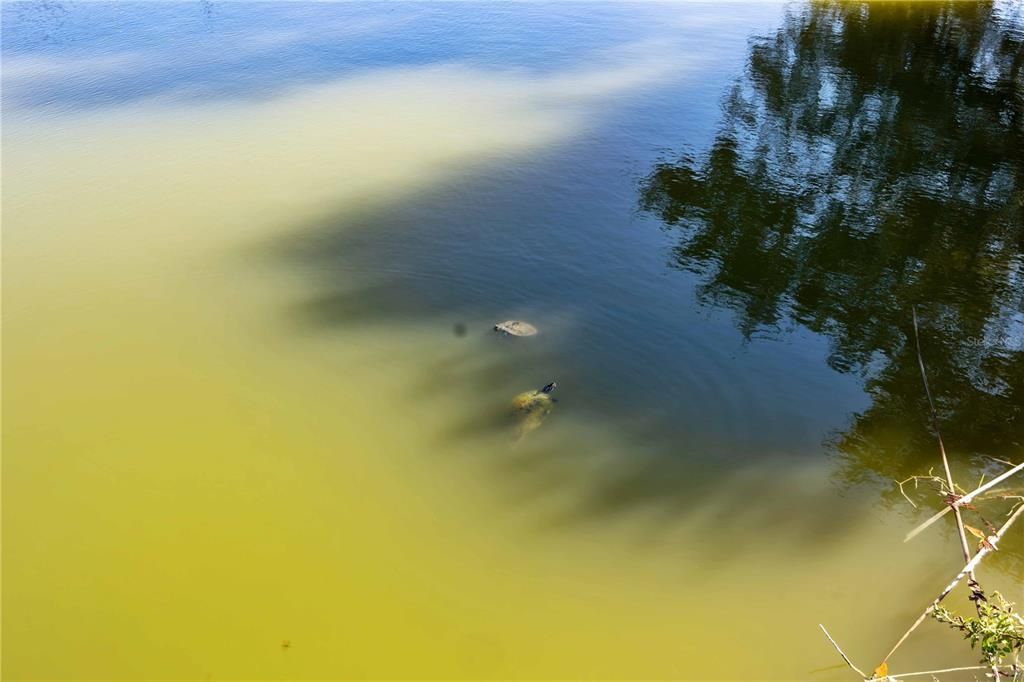 待售: $145,000 (2 贝兹, 1 浴室, 828 平方英尺)