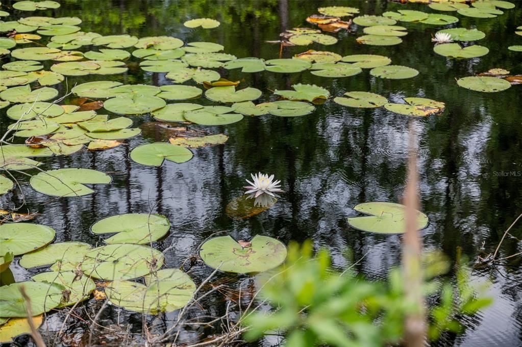 For Sale: $349,000 (2 beds, 1 baths, 1247 Square Feet)