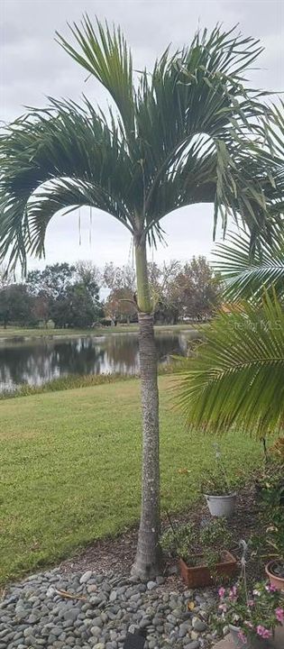 На продажу: $390,000 (2 спален, 2 ванн, 1545 Квадратных фут)