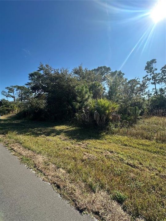 For Sale: $25,000 (0.23 acres)