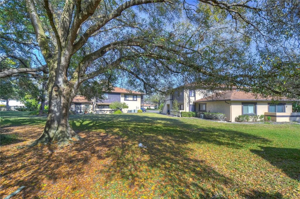 For Rent: $1,775 (2 beds, 1 baths, 752 Square Feet)