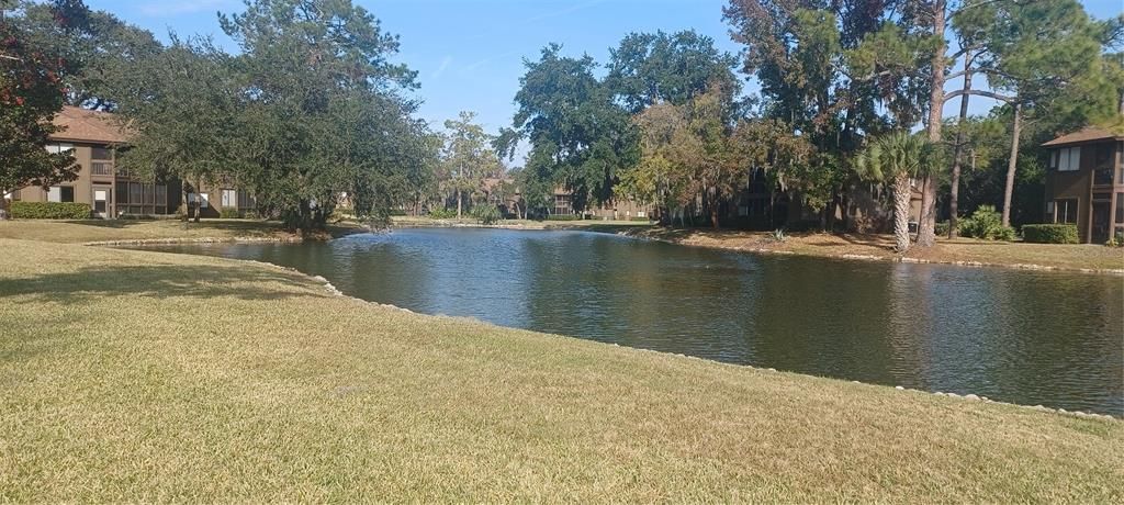 待售: $259,900 (3 贝兹, 2 浴室, 1338 平方英尺)