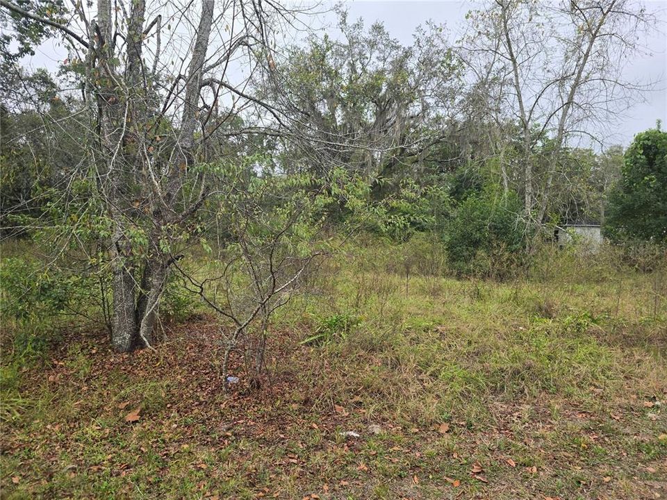 En Venta: $25,000 (0.18 acres)