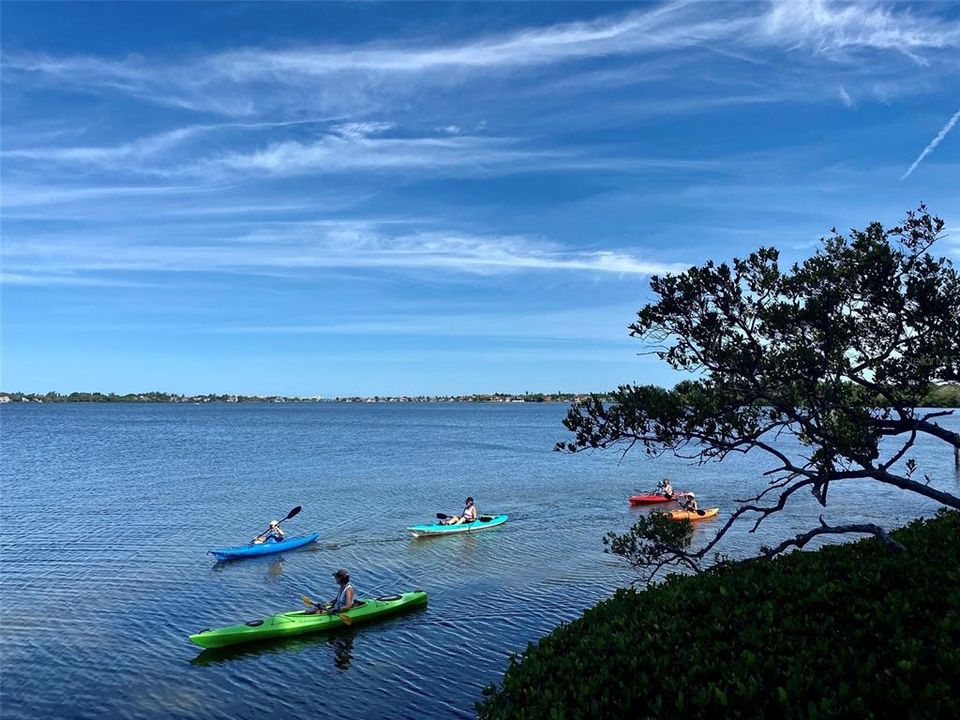 En Renta: $3,800 (1 camas, 1 baños, 731 Pies cuadrados)