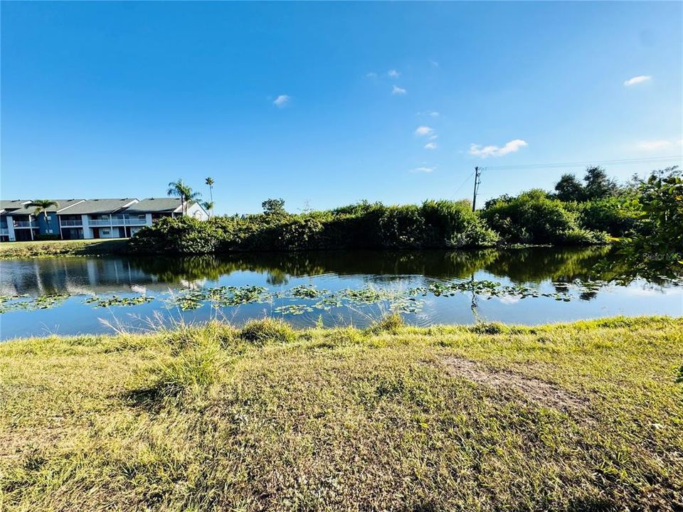 待售: $149,900 (2 贝兹, 2 浴室, 967 平方英尺)