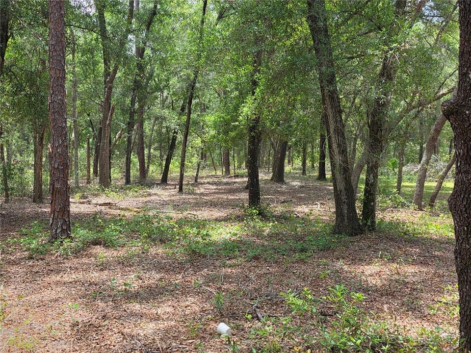 待售: $249,000 (5.00 acres)