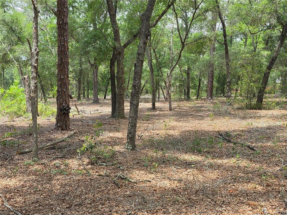 待售: $249,000 (5.00 acres)