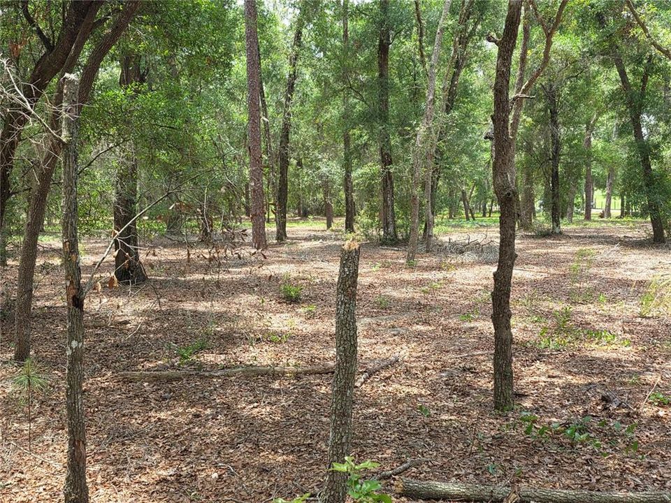 待售: $249,000 (5.00 acres)