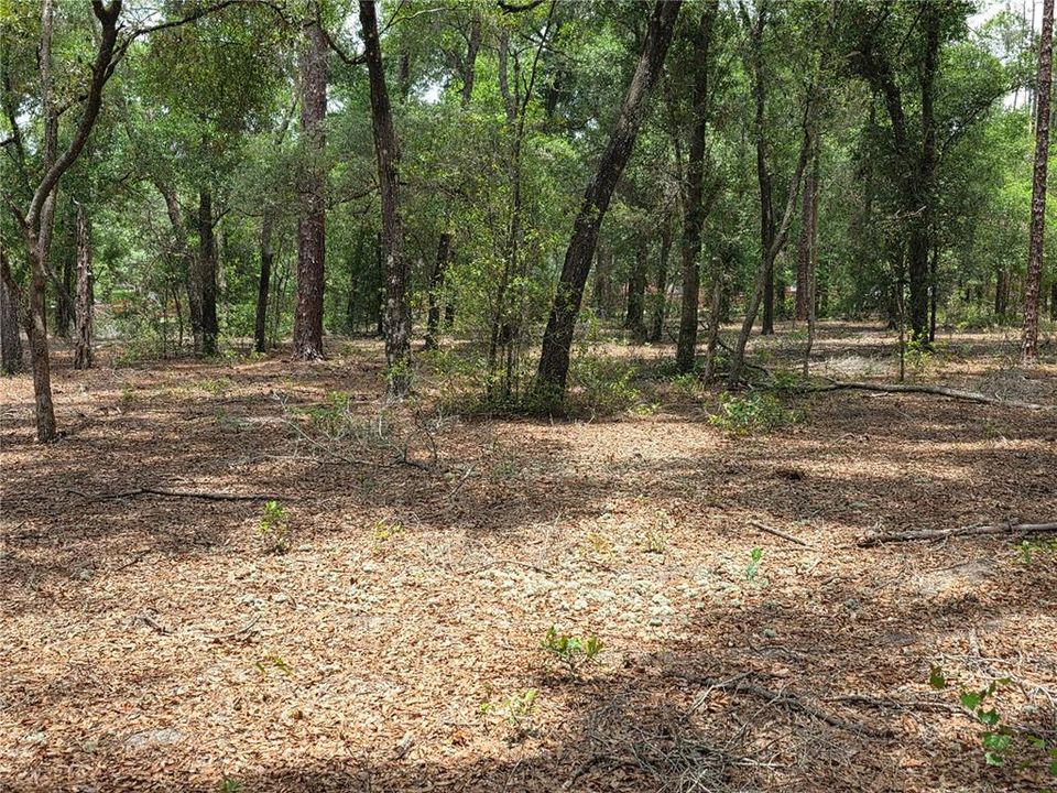 待售: $249,000 (5.00 acres)