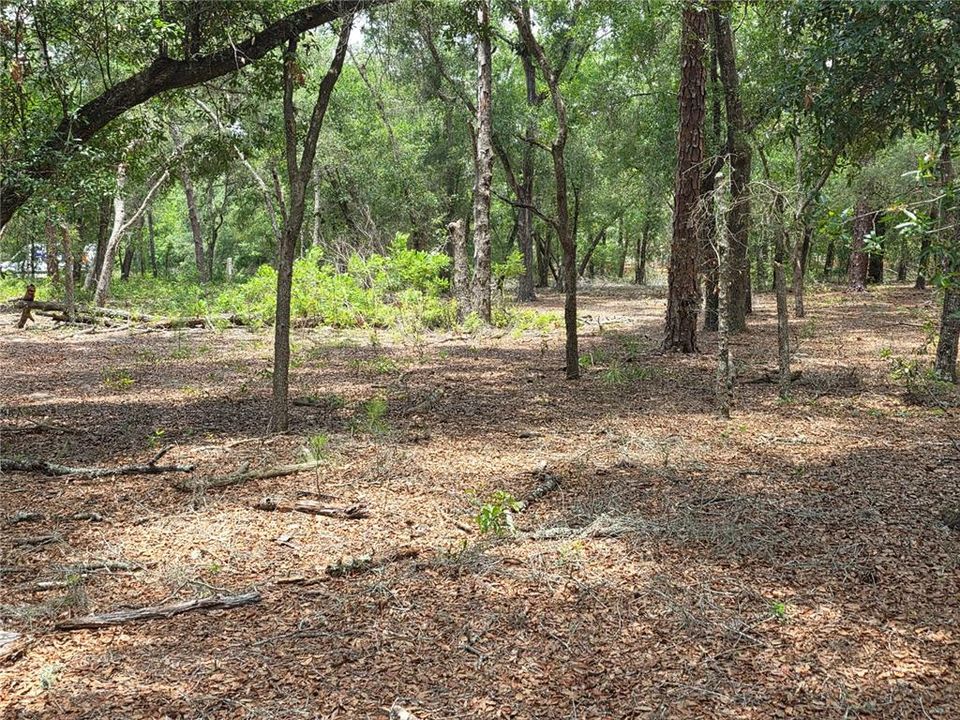 待售: $249,000 (5.00 acres)