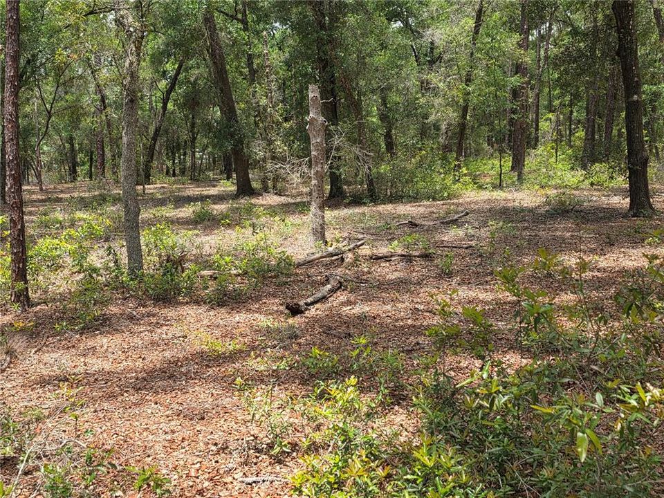 待售: $249,000 (5.00 acres)