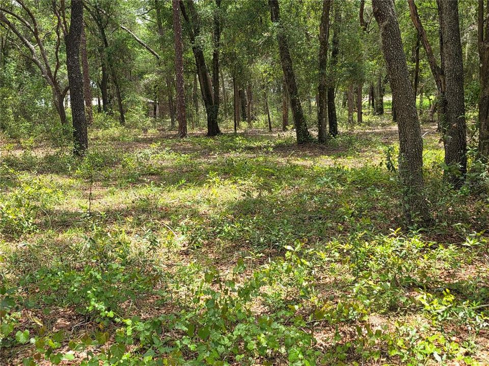 待售: $249,000 (5.00 acres)