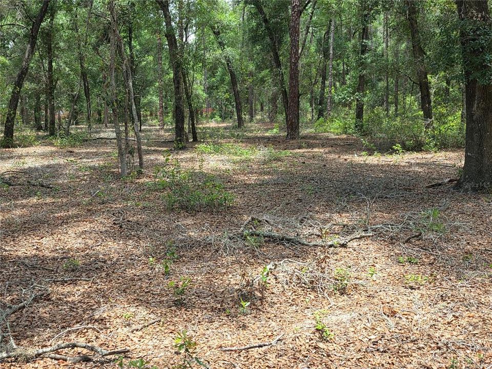 待售: $249,000 (5.00 acres)