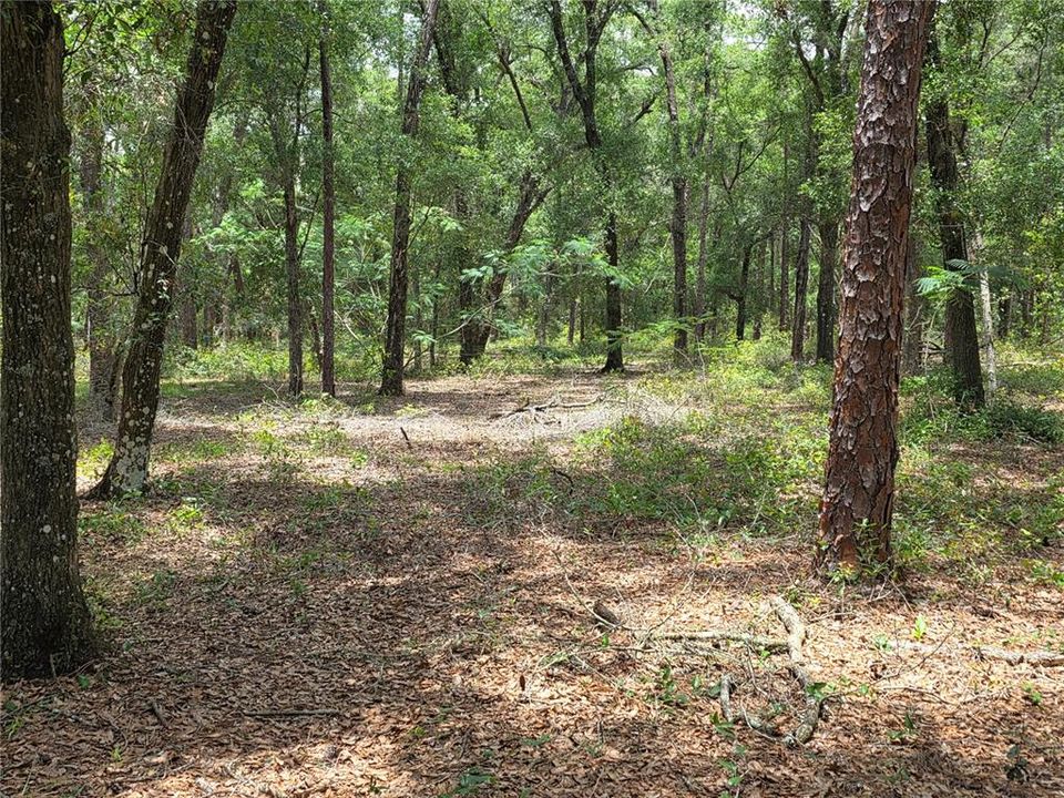 待售: $249,000 (5.00 acres)