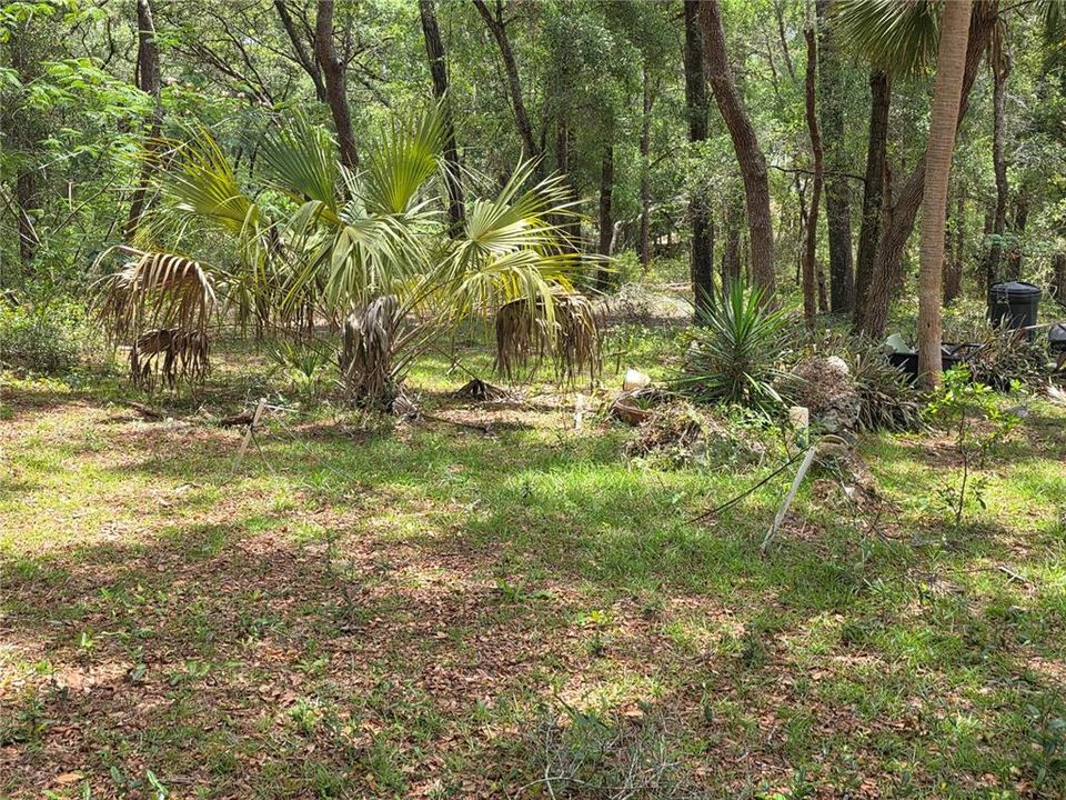 待售: $249,000 (5.00 acres)