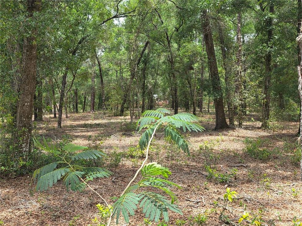 待售: $249,000 (5.00 acres)