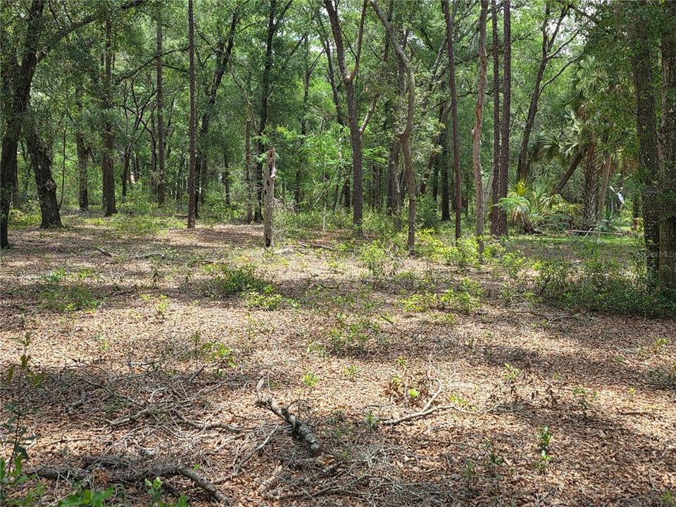 待售: $249,000 (5.00 acres)