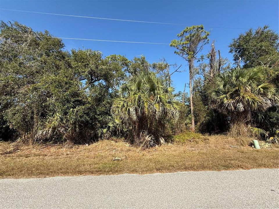 待售: $24,900 (0.23 acres)