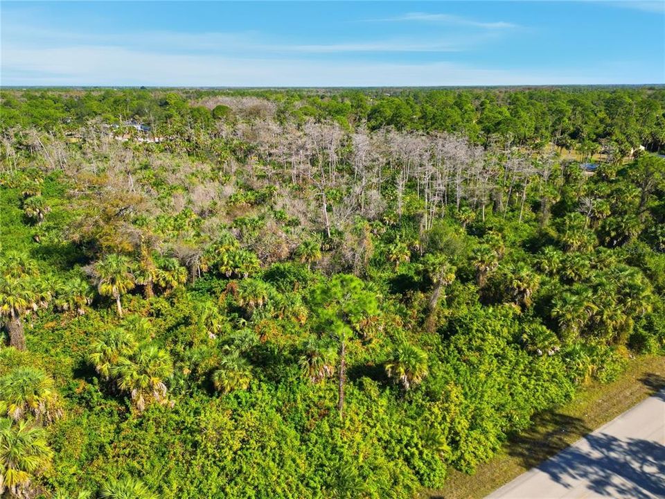 En Venta: $100,000 (1.14 acres)