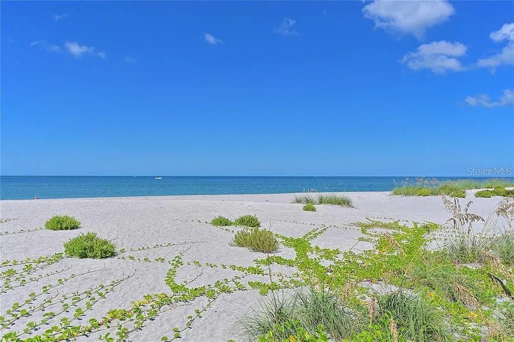 出租: $9,000 (3 贝兹, 2 浴室, 1344 平方英尺)