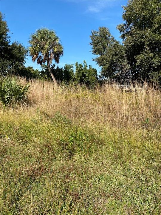 待售: $34,000 (0.19 acres)