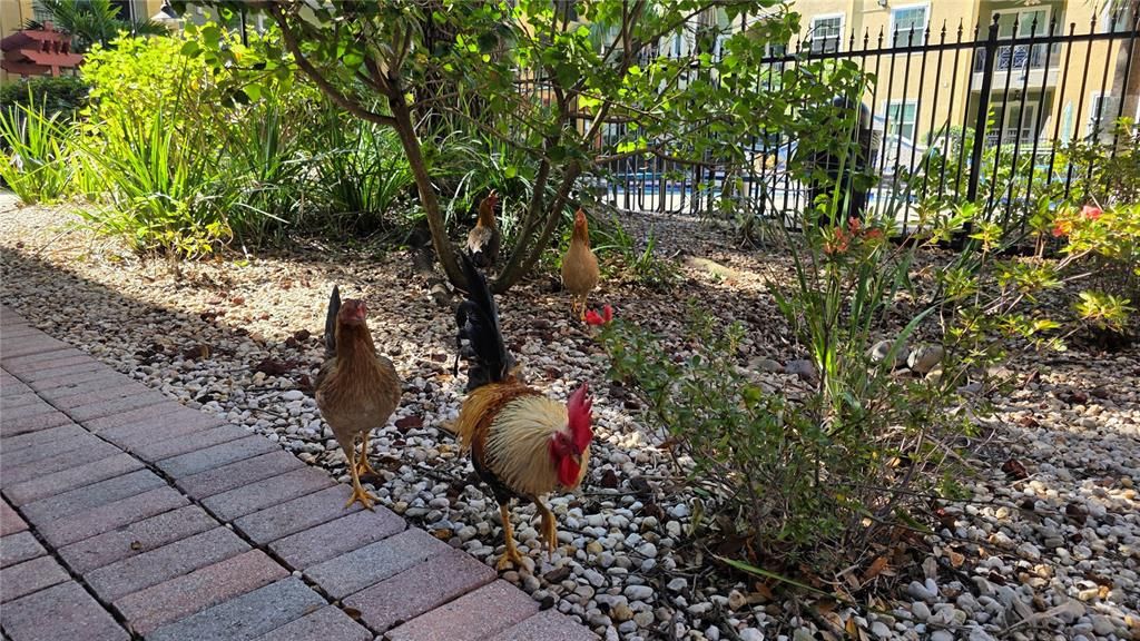 待售: $249,900 (1 贝兹, 1 浴室, 1044 平方英尺)