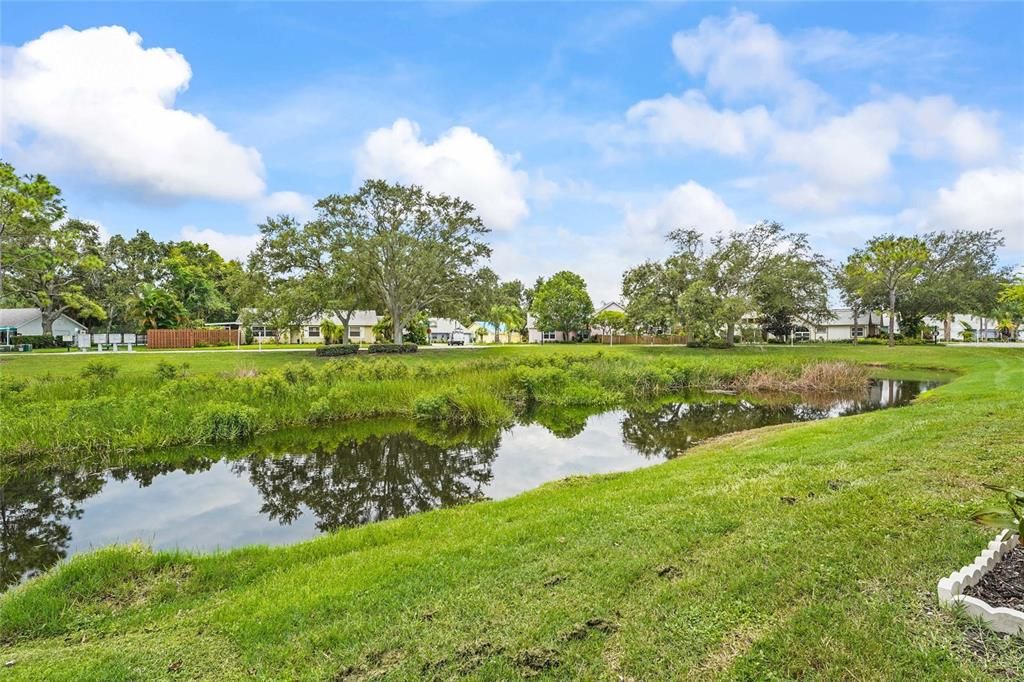 En Renta: $3,000 (3 camas, 2 baños, 1259 Pies cuadrados)