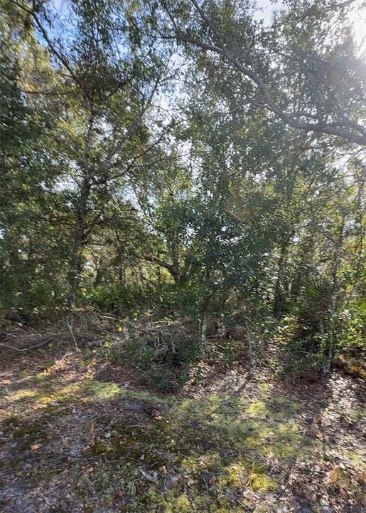 For Sale: $40,000 (2.41 acres)