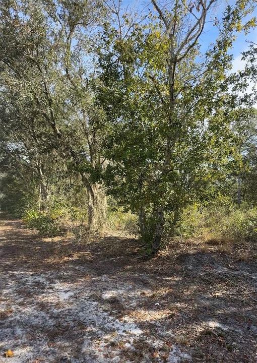 For Sale: $40,000 (2.41 acres)