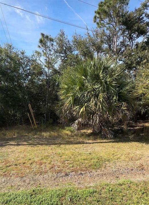For Sale: $40,000 (2.41 acres)