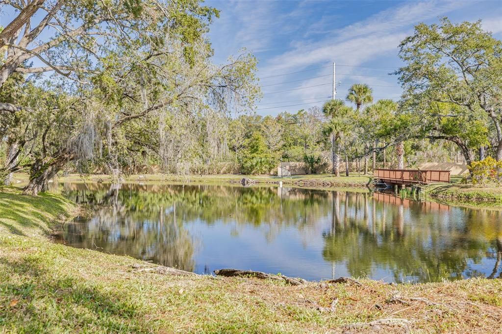 For Sale: $170,000 (1 beds, 1 baths, 920 Square Feet)