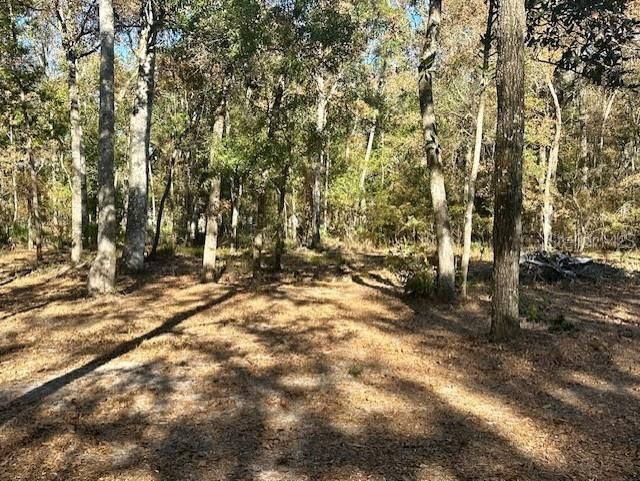 待售: $89,000 (1.01 acres)